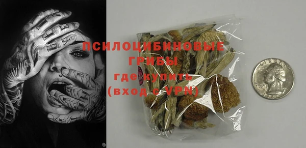 ПСИЛОЦИБИНОВЫЕ ГРИБЫ Верхнеуральск