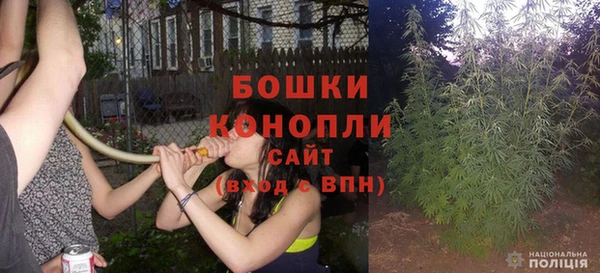 сатива Верхний Тагил