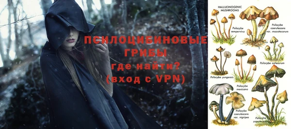 сатива Верхний Тагил