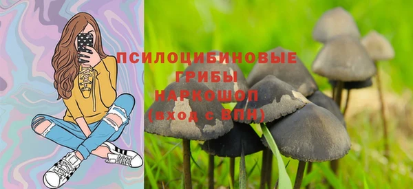 сатива Верхний Тагил